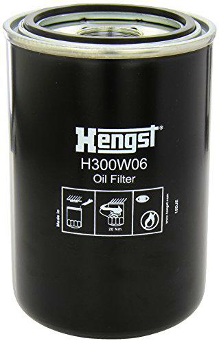 Hen H300W06 Bloque de Motor